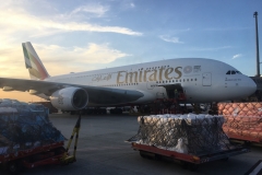 A380-Hamburg_01